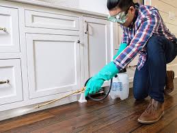 Best Pest Prevention Services  in Bryant, AR